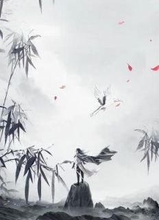 (抖音)师妹嫉妒我抢走我的剑灵 主角木青衫柳拂烟