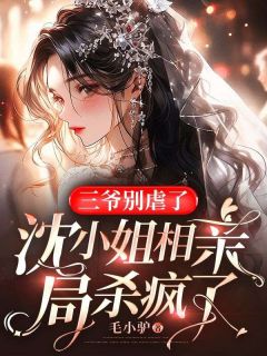 《三爷别虐了，沈小姐相亲局杀疯了》完整版-沈冬青陈宴洲在线全文阅读