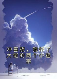 蓝桥聂言(原文完整)《冲喜夜，我怀了大佬的两个小祖宗》无弹窗免费阅读