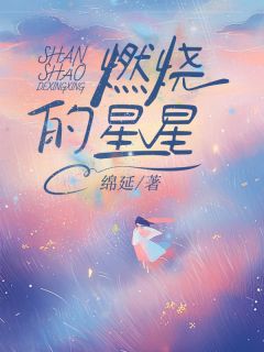 《燃烧的星星》章节全目录 陈星沈燃厉源全文免费阅读