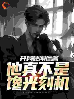 《开局硬刚鹰酱，他真不是馋光刻机》完整版-唐辰沈玉颜在线全文阅读