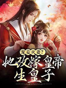 (精品)宠妾灭妻？她改嫁皇帝生皇子小说