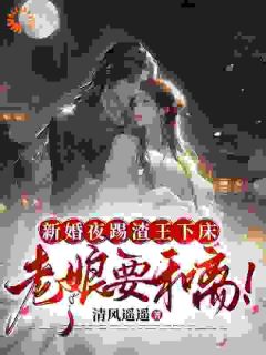 新婚夜踢渣王下床，老娘要和离！小说免费版阅读抖音热文