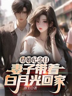 《结婚纪念日，妻子带着白月光回家》无广告阅读 李子恒姜婉免费在线阅读