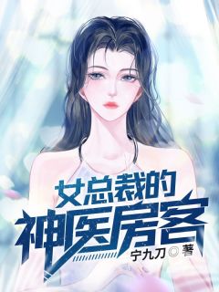 爆款小说由作者宁九刀所创作的女总裁的神医房客在线阅读