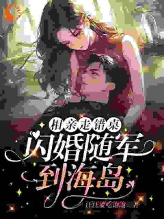 《相亲走错桌，闪婚随军到海岛》完整版-姜早陆渊在线全文阅读