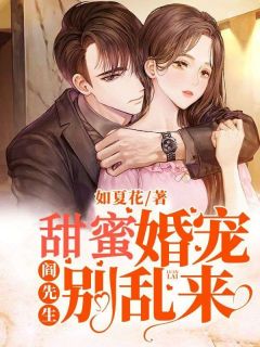 《甜蜜婚宠：阎先生别乱来》完整版-安小勉阎瑾墨在线全文阅读