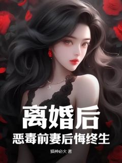 爆款热文苏晨孔雪燕在线阅读-《离婚后，恶毒前妻后悔终生》全章节列表