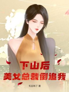 精选好书《下山后，美女总裁倒追我》无删减版全文在线